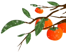 包裝盒設(shè)計(jì)整套_包裝盒定做設(shè)計(jì)_盒裝包裝設(shè)計(jì)